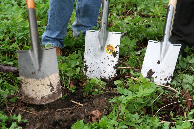 pepiniere-STE ANASTASIE SUR ISSOLE-min_work-lawn-flower-tool-green-backyard-1103633-pxhere.com